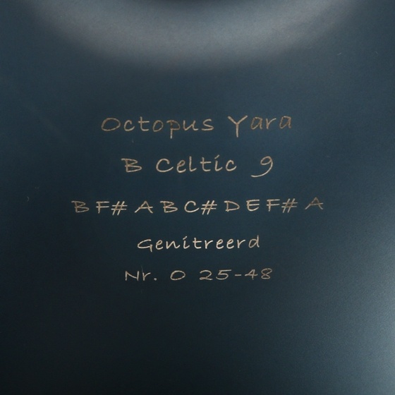 Octopus Yara B2 Celtic 9 - Genitreerd - Nieuw – Bild 4